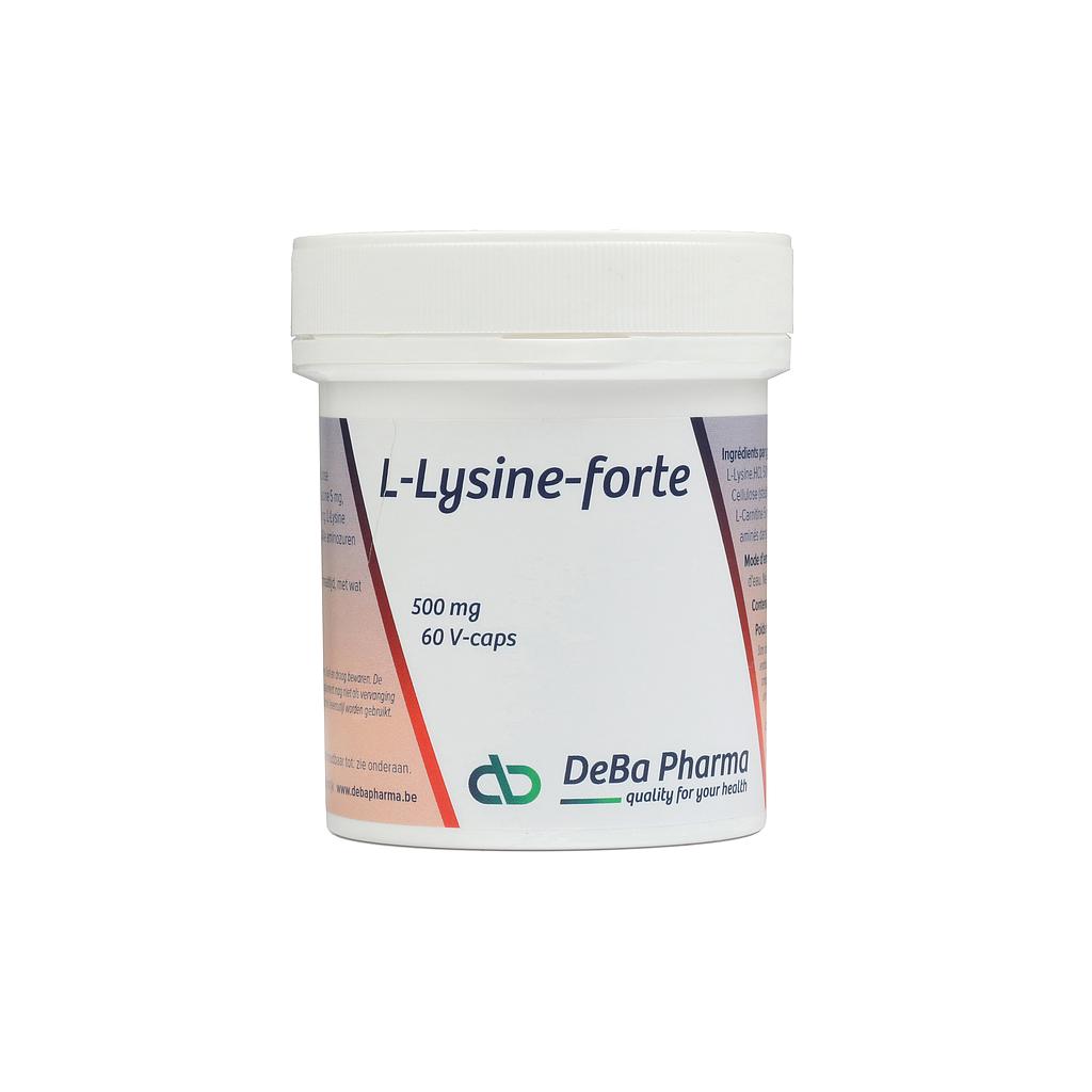 L-Lysine forte 500 mg 