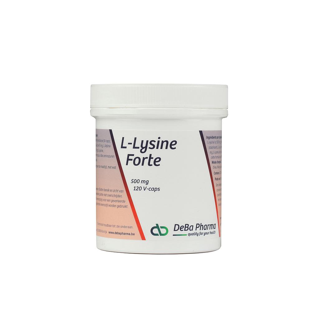 L-Lysine forte 500 mg 