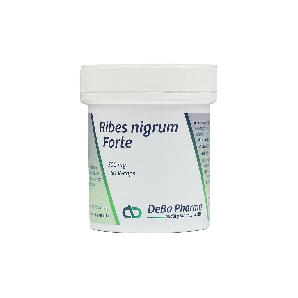 Ribes Nigrum forte 500 mg (60 V-caps)